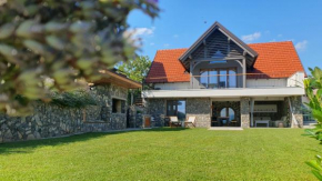 Vineyard cottage Lan na Hribu
